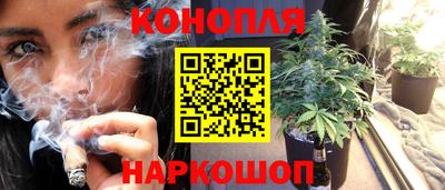 apvp Тулун