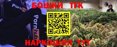 apvp Тулун