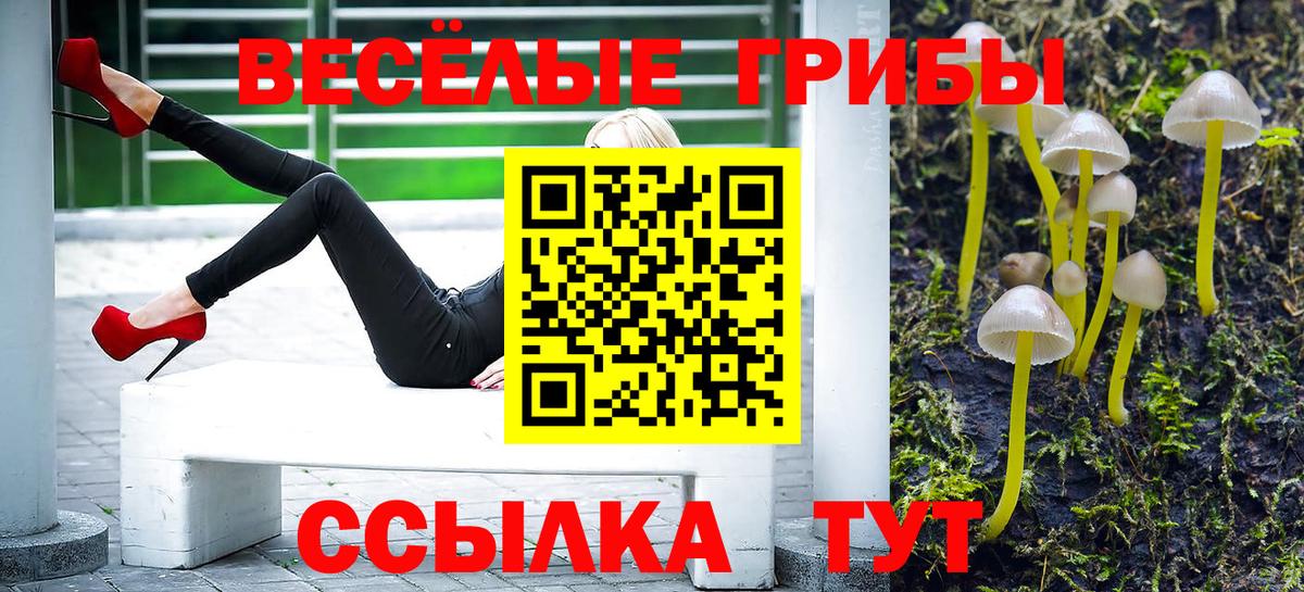 Псилоцибиновые грибы мицелий Новый Уренгой