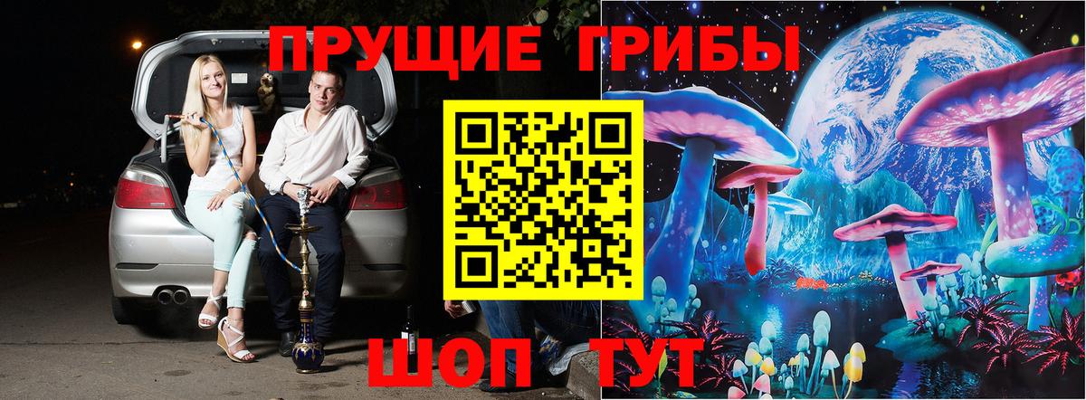 Псилоцибиновые грибы Psilocybe  Вход с VPN  Новый Уренгой 